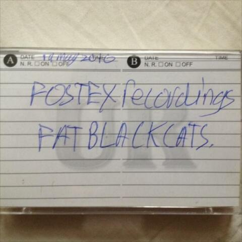 Fostex four track demo album (A.K.A IF YOU WANT BETTER QUALITY GIVE US SOME MONEY)