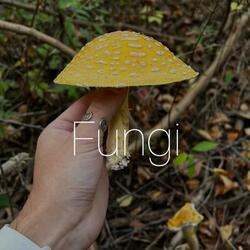 Fungi
