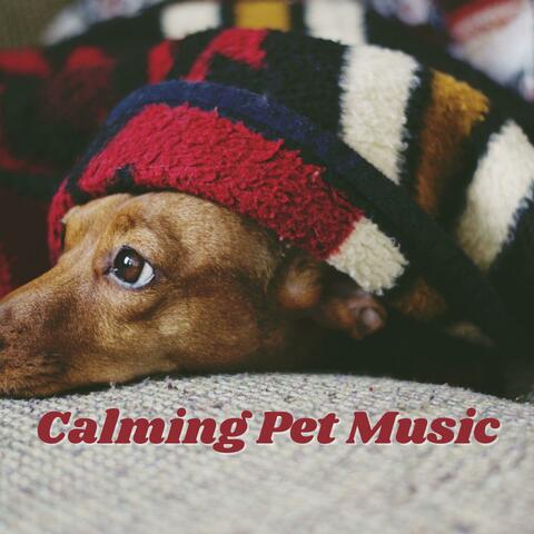 Calming Pet Music