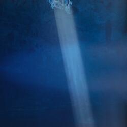 letting it go to feel again