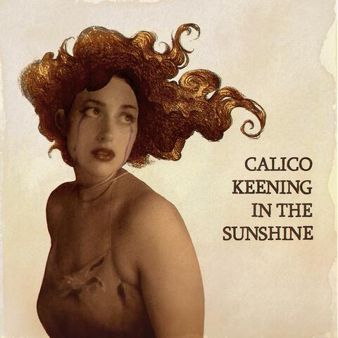 Calico keening in the sunshine