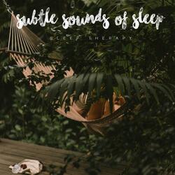 Barefoot Bliss