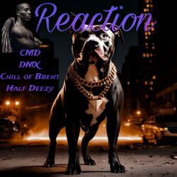 Reaction (feat. DMX)