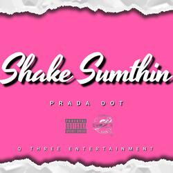 Shake Sumthin