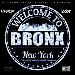 Welcome To The Bronx