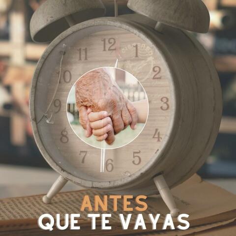 Antes que te vayas