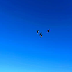 The Ending Of It All