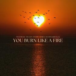 You Burn Like A Fire