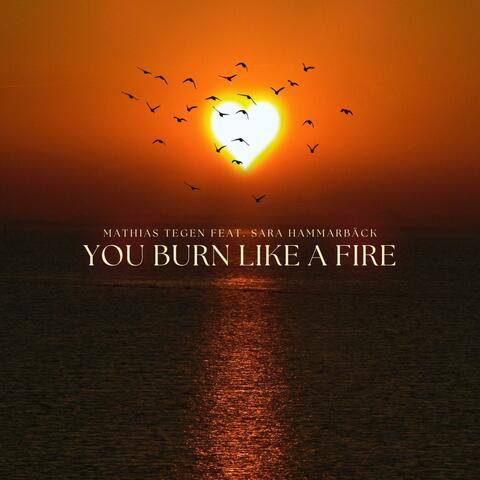 You Burn Like A Fire