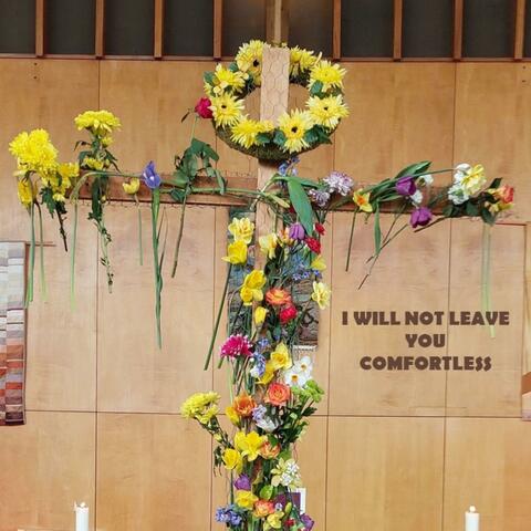 I Will Not Leave You Comfortless