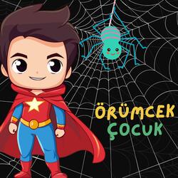 Örümcek Çocuk