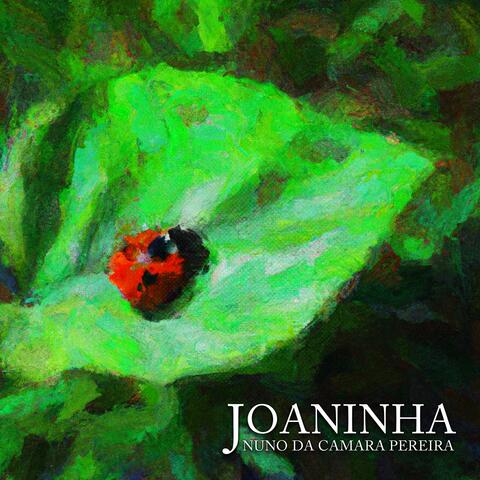 Joaninha