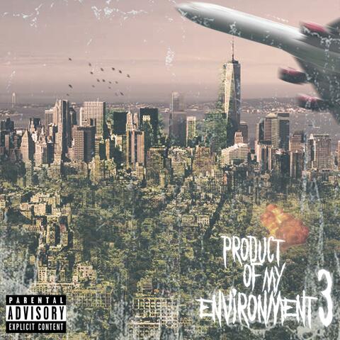 Product of My Environment 3