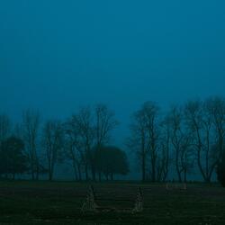 plains