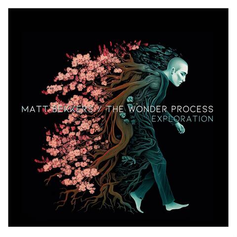 The Wonder Process: Exploration