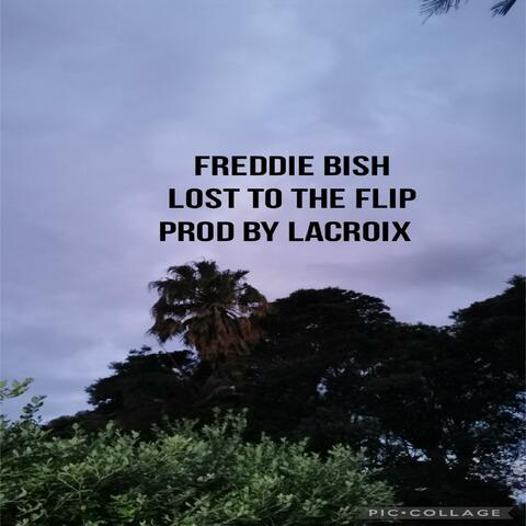 Lost to the Flip (feat. Freddie Bish)
