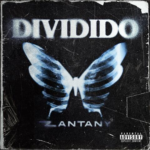 DIVIDIDO