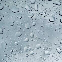 A Burden on the Pines