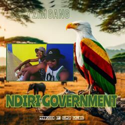 Ndiri Government
