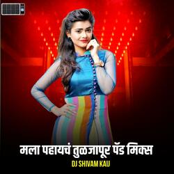 Mala Pahaych Tuljapur Active Pad Mix