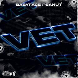 Vet