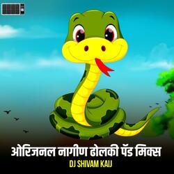 Orignal Nagin Dholki Active Pad Sambal Mix Dj Song