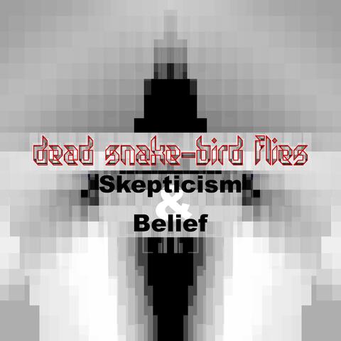 Skepticism & Belief