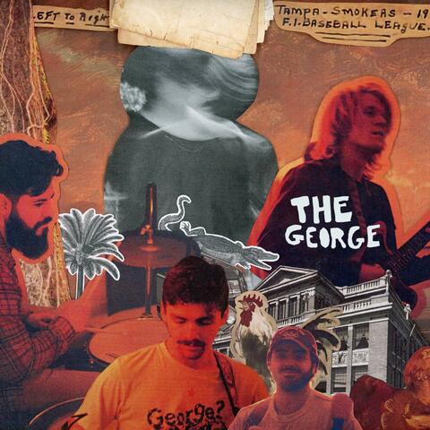 Back on Davis Island (Again)