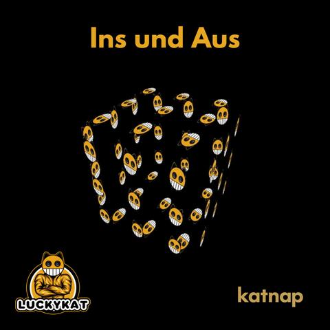 Ins Und Aus