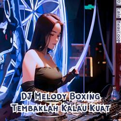 DJ Melody Boxing Tembaklah Kalau Kuat