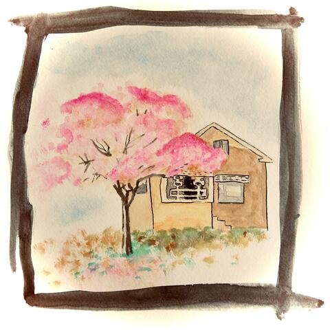 Northern Wind