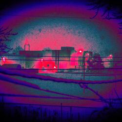 Tell Me if You Want Me