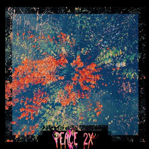 Peace 2x