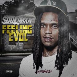 FEELIN EVOL
