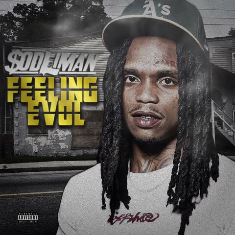 FEELIN EVOL