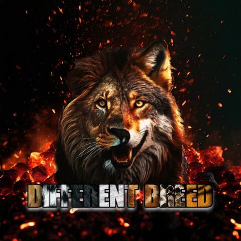 DIFFERENT BREED