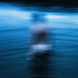 Nightswimming