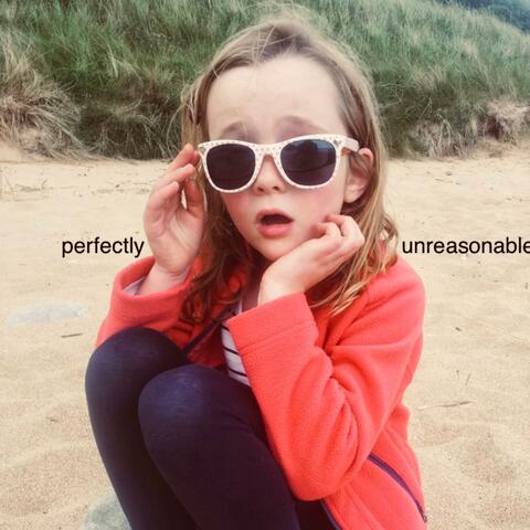 Perfectly Unreasonable