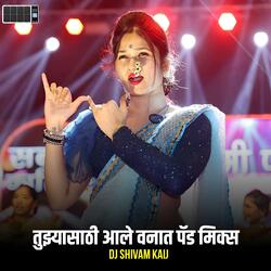 Tuzhya Sathi Ale Vanat Active Pad Dj Song