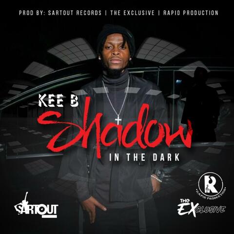 Shadow in the Dark