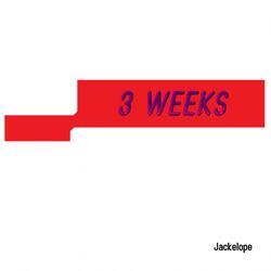 Week 2