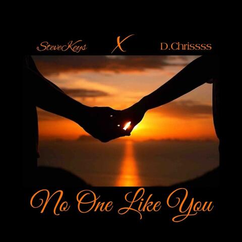 No one like you (feat. d.Chrissss) [Radio Edit]