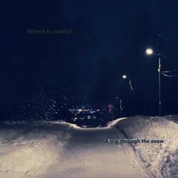 A trip through the snow