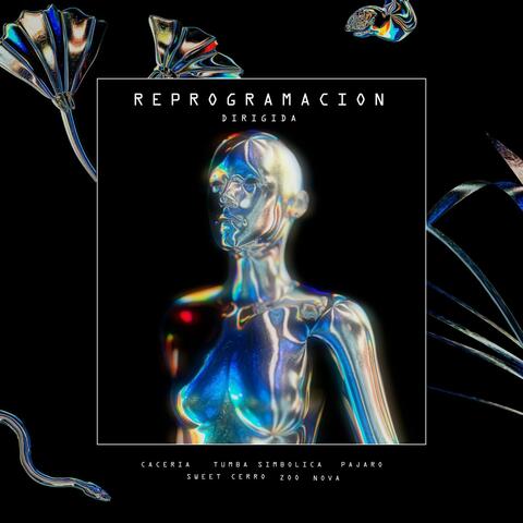 REPROGRAMACION DIRIGIDA
