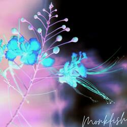 Vapour