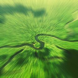 COBRA VERDE