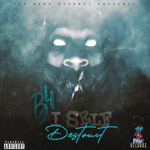 B4 I Self Destruct