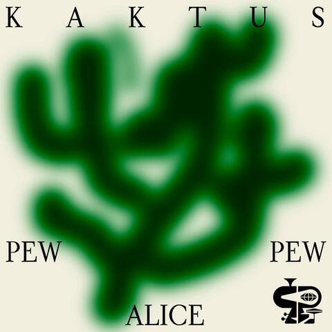 Kaktus