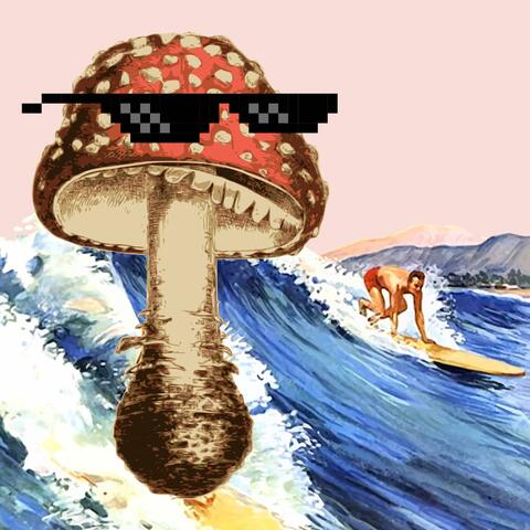 Twenty Fungalore Theme Song
