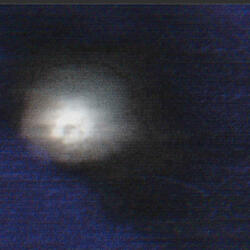 Steve Irwin (Ceiling)